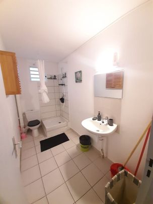 Location appartement 1 pièce, 17.04m², Fort-de-France - Photo 1