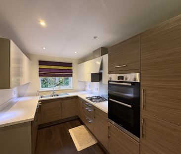 Tiger Flower Way, Bury St. Edmunds, Red Lodge - Photo 4