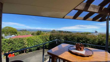 Mountain Views - Photo 4