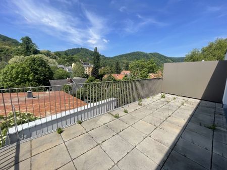 3-Zimmerwohnung mit toller Aussicht ins Grüne | große Terrasse | ab sofot | jetzt besichtigen! - Photo 4