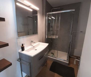 Location Appartement 1 pièce 82m² RENNES 35200 - Photo 3