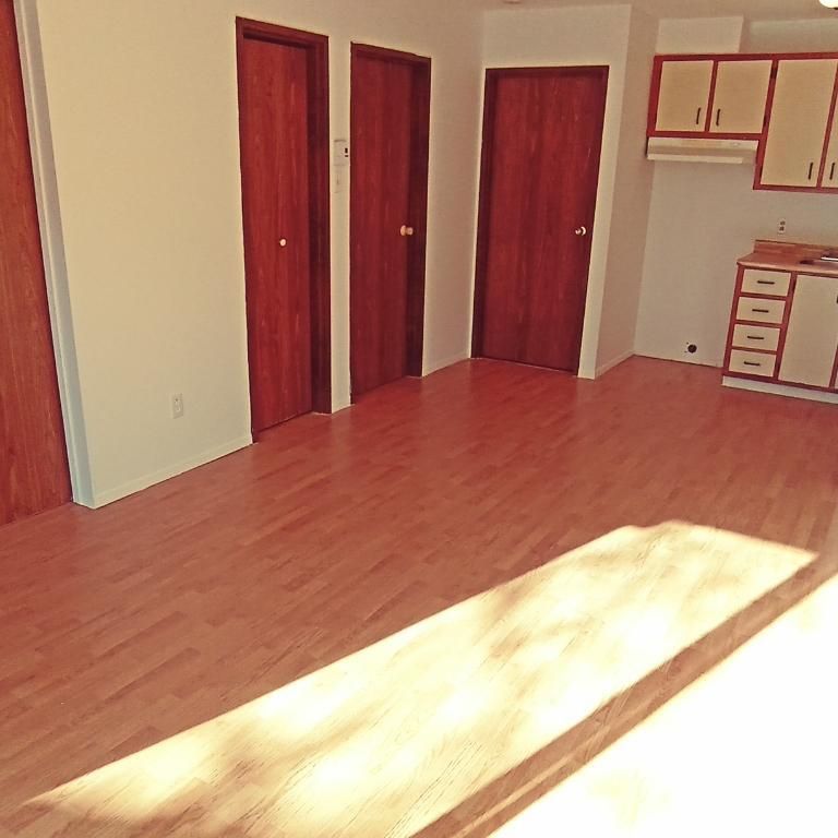 Très beau 4½, disponible dès maintenant - Photo 1