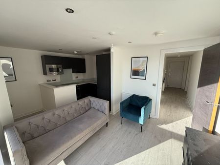 1 Bed Flat, Norfolk Street, L1 - Photo 3
