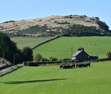 1 Creich Farm Cottage - Photo 6