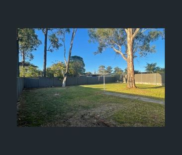 THREE BEDROOM HOME IN GREAT LOCATION! - Photo 5