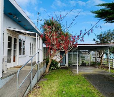 Two-bedroom cutie on Kawakawa - Photo 6