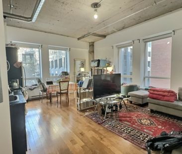 Appartement à louer - Montréal (Ville-Marie) (Centre Ouest) - Photo 5
