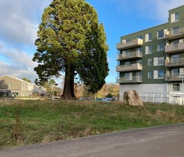 Einar Olssons gata 7 - Foto 6