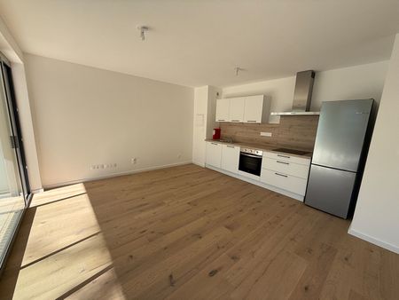 Location Appartement 2 pièces 46m² STRASBOURG 67000 - Photo 3