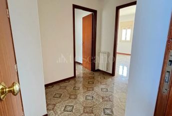 Casa in affitto - Via Eustachio Catalano, Palermo (rif. 8/2026)