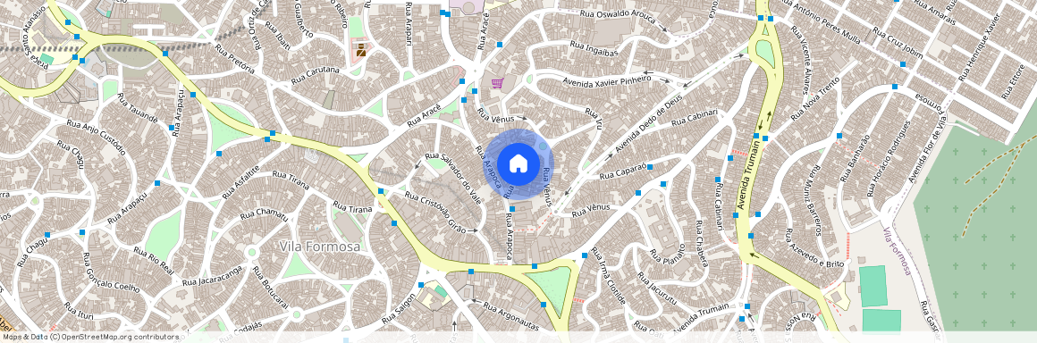 Rua Anambés, Vila Formosa, São Paulo, SP, 03362070