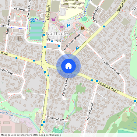 12 Exmouth Road, Northcote, Auckland