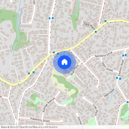 11 Shah Place, Glen Eden, Waitakere City