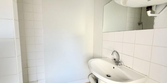 Location Appartement 1 pièce 26m² ROANNE 42300 - Photo 3