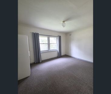 2A Selkirk Avenue, Clearview, SA 5085 - Photo 3