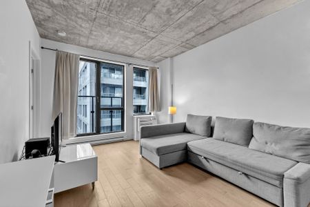 195 Rue Peel, Montréal (Le Sud-Ouest), QC H3C - Photo 2