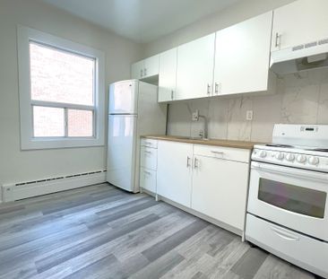 For Lease - 167 Barker Avenue Unit# Main, Toronto, Ontario - Photo 4
