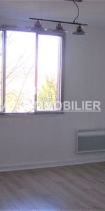 Location Appartement 1 pièce 21m² - Photo 3
