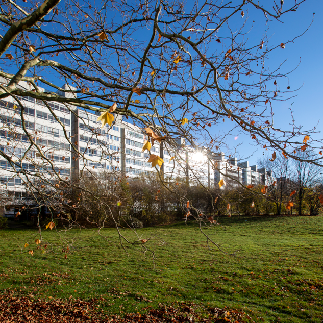 Thomsons Väg 56, Kryddgården - Foto 2