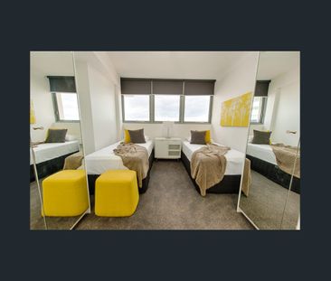 Stunning Ocean View Apartment in Cotton Tree! - Photo 3