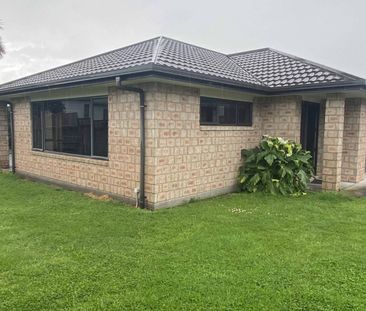 GREAT SIZED FAMILY HOME IN TE PUKE - Photo 5