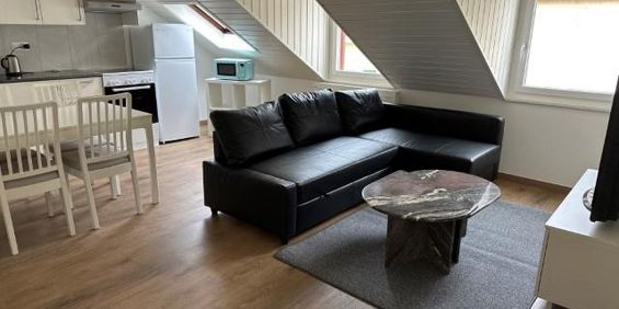 Appartement meublé de 2,5 pièces - Photo 3