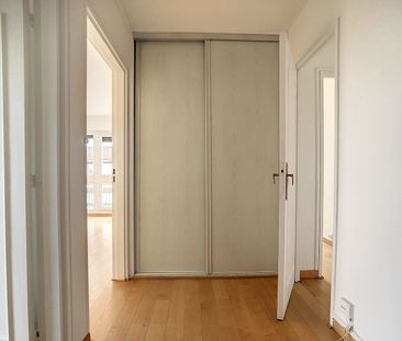 Appartement T3 L'Haÿ-les-Roses à louer - Photo 6