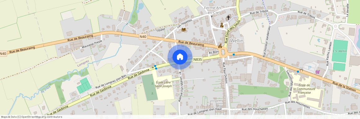 Rue de Gedinne, 16, 6920, Wellin