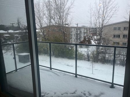 10130 Rue Lauraine Vaillancourt - Photo 2