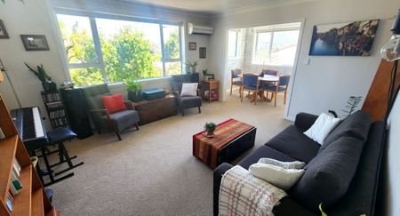 17 Signal Hill Road, Opoho, Dunedin City - Photo 4