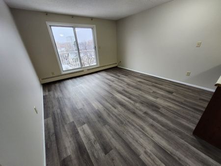Large 1 Bedroom Unit Close to All Amenities!! - Photo 2