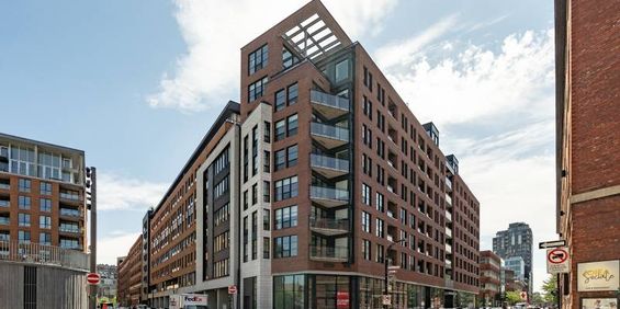 Studio - 650 Rue Wellington, Montréal - Photo 3