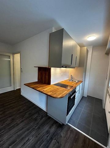 Charmant 1 pièce - Foto 3