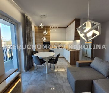 Zamość, Piła - Photo 5