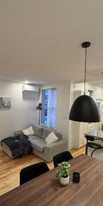 Magnifique 4 ½ entièrement rénové — 1000 pi² — Hochelaga-Maisonneuve — Disponible rapidement - Photo 3