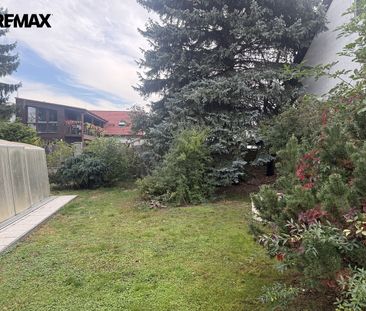 Pronájem domu 230 m² s pozemkem 649 m² - Photo 1