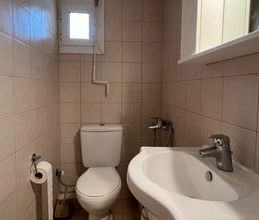 Μονοκατοικία για ενοικίαση - Ωρωπός, - Photo 5