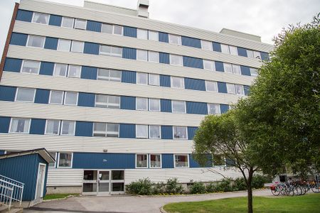 Hamnplan 20 B, 94161, Piteå - Foto 5