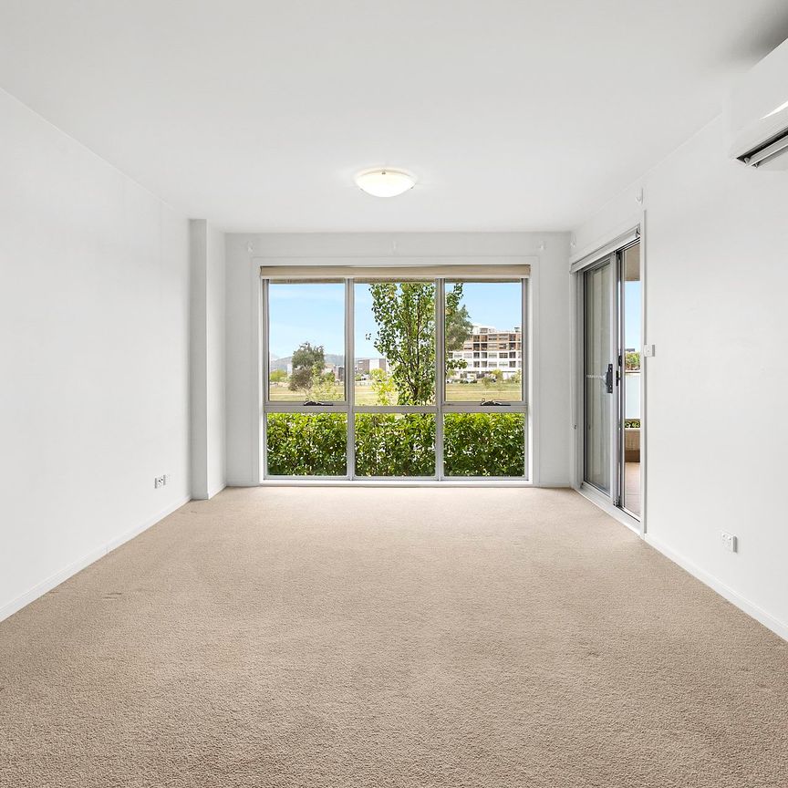 Unit 87/41 Philip Hodgins Street, - Photo 1