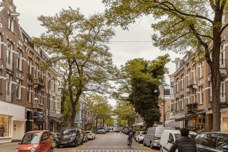 Appartement te koop: De Lairessestraat 90-3R 1071 PJ Amsterdam - Foto 3