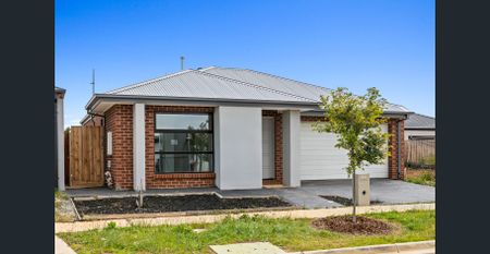 Modern, Compact & Low-Maintenance Living! - Photo 4