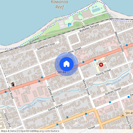 240 St Aubyn Street, New Plymouth, New Plymouth