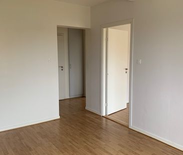 Skyttelvägen, Sågmyra - Foto 4
