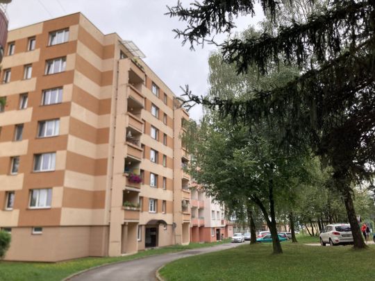 Pronájem bytu 2+kk 47 m², Třeboňská 528, Borovany - Fotografie 1