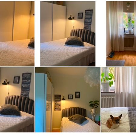 Artillerigatan, Uppsala - Foto 4