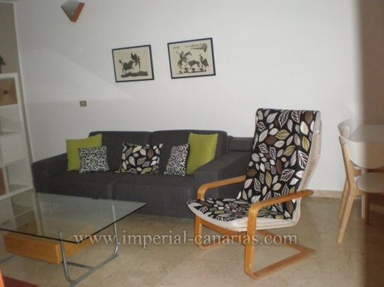 Amplio Apartamento en tranquilo y bonito complejo con jardines tropicales y piscina climatizada - Photo 1