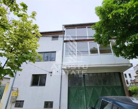 Casa ideala pentru birouri/alte activitati Mehala - Fotografie 3