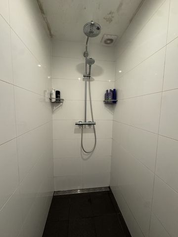 Delpratsingel - Photo 5