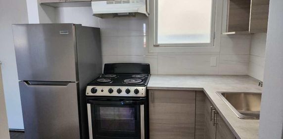 3 1/2 à louer à Saint-Laurent (1 chambre et 1 SDB) - Photo 2