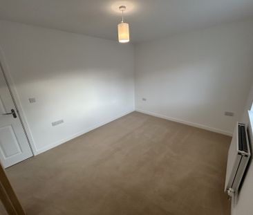 Cedar Close - Photo 4